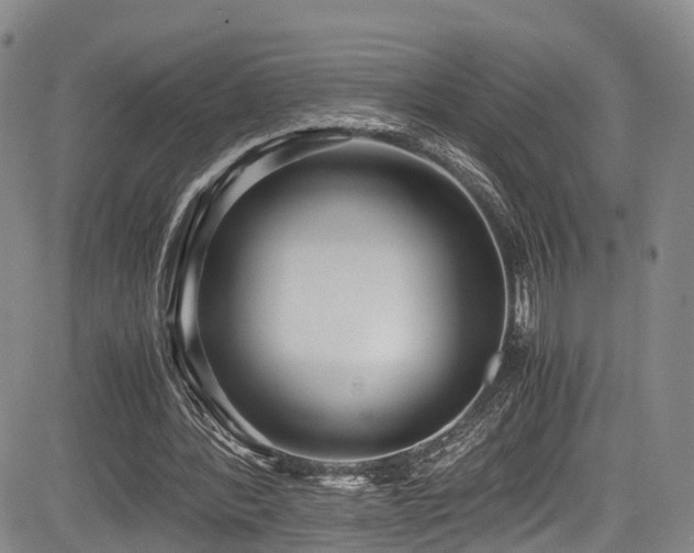 X0000084000388200702161138