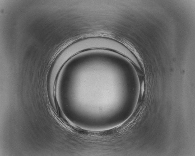 X0000084000389200702161138