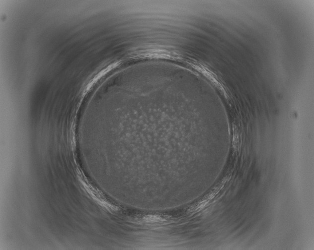 X0000084000390200702161138