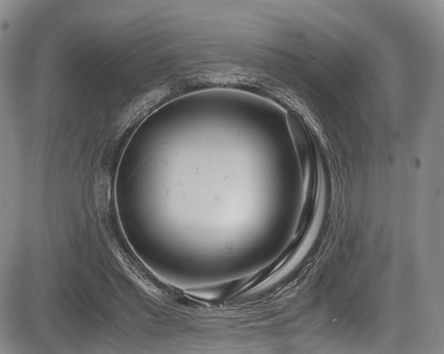 X0000084000397200702161138