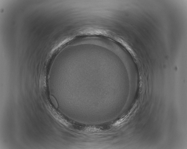 X0000084000399200702161138