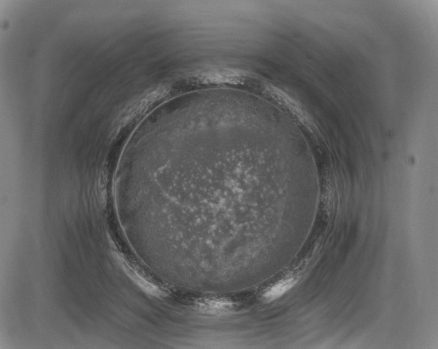 X0000084000402200702161138
