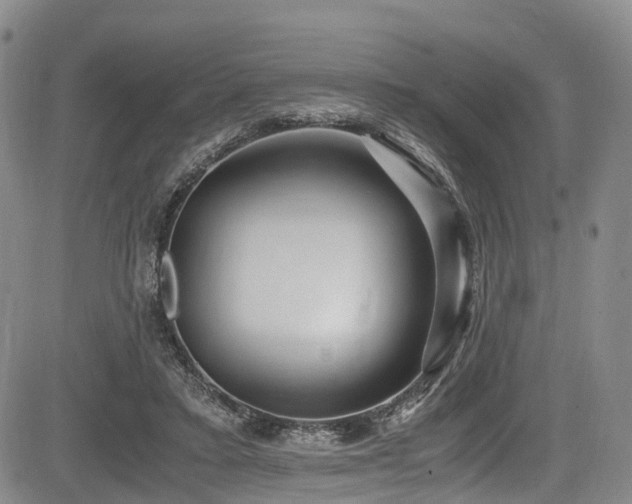 X0000084000403200702161138