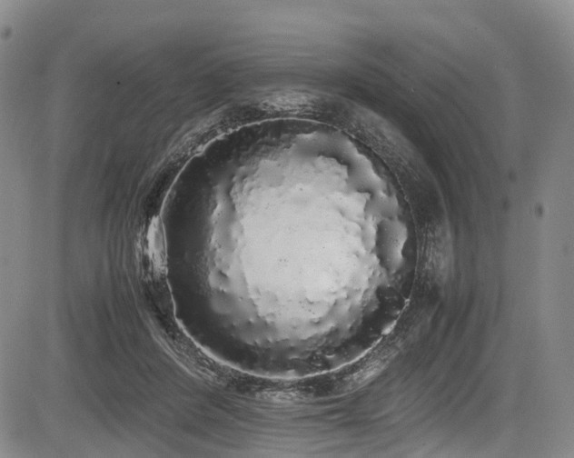 X0000084000408200702161137