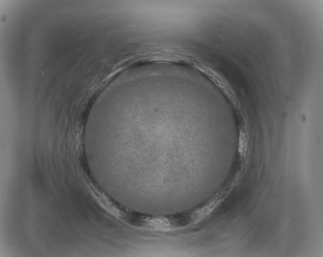 X0000084000409200702161137