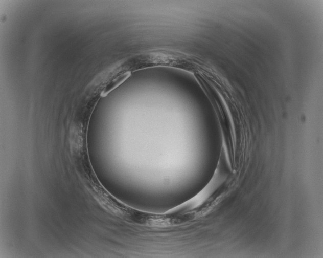 X0000084000413200702161137