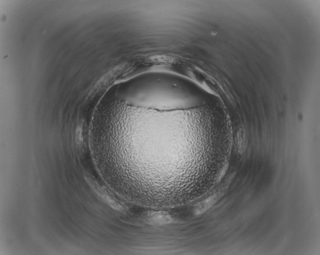 X0000084000424200702161137