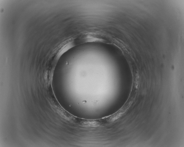 X0000084000428200702161137