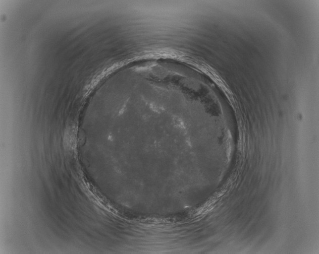 X0000084000434200702161136