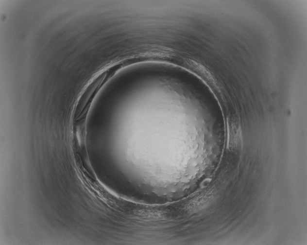 X0000084000435200702161136