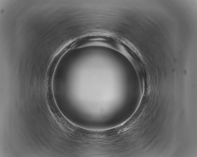 X0000084000436200702161136