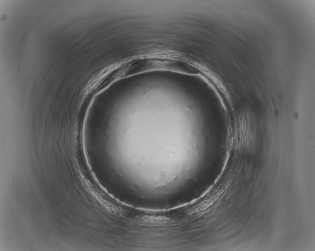 X0000084000437200702161136