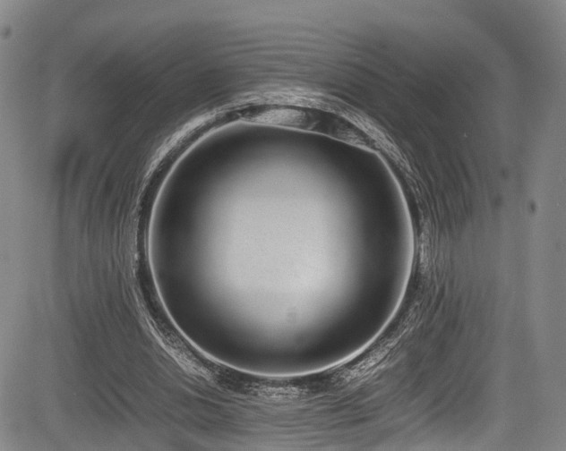 X0000084000438200702161136