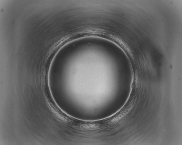 X0000084000445200702161137