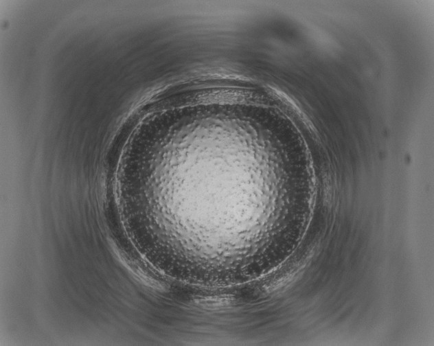 X0000084000447200702161137