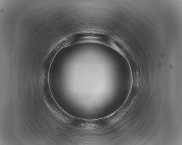 X0000084000448200702161137