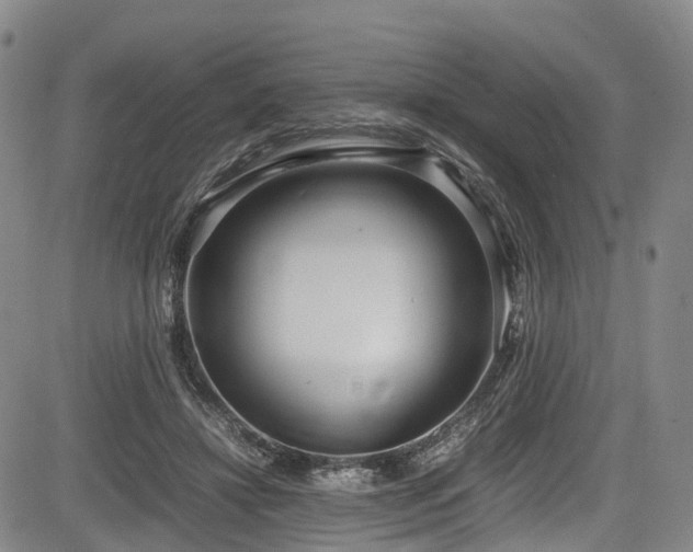 X0000084000452200702161137