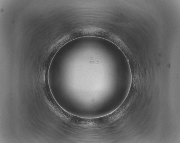 X0000084000454200702161137