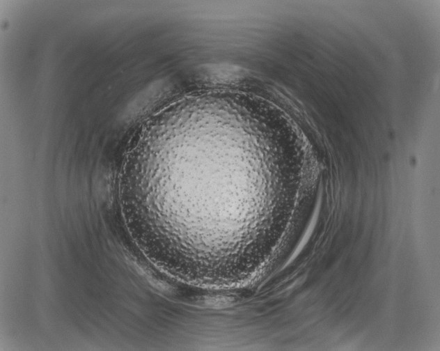 X0000084000462200702161137
