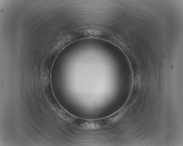 X0000084000464200702161137