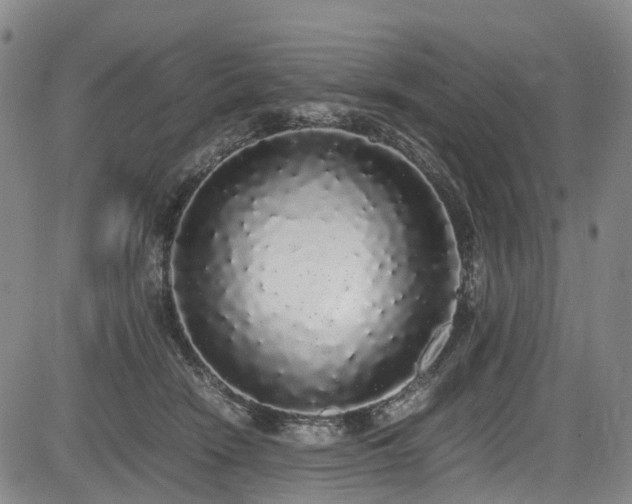 X0000084000466200702161137