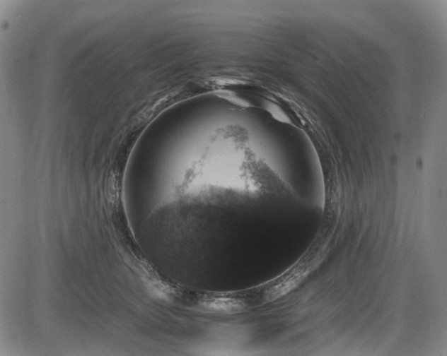 X0000084000467200702161137