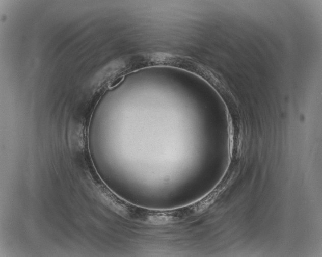 X0000084000470200702161137
