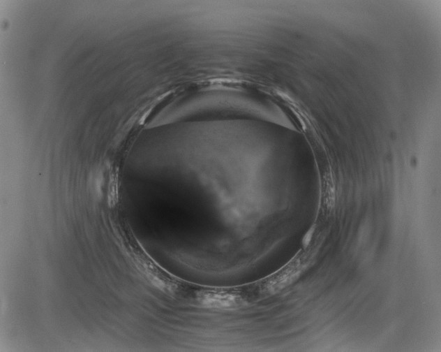 X0000084000471200702161137