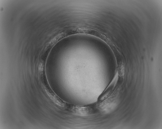 X0000084000472200702161137