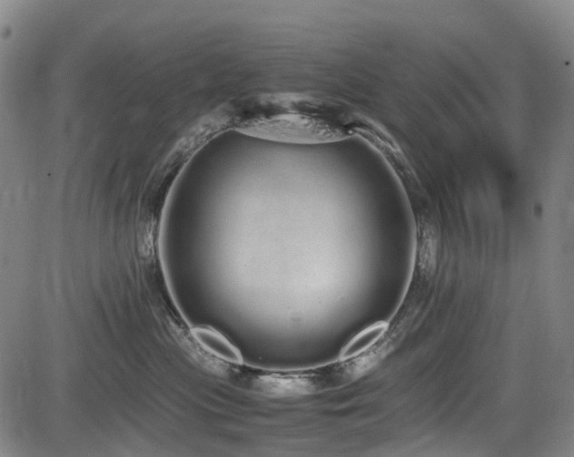 X0000084000477200702161137