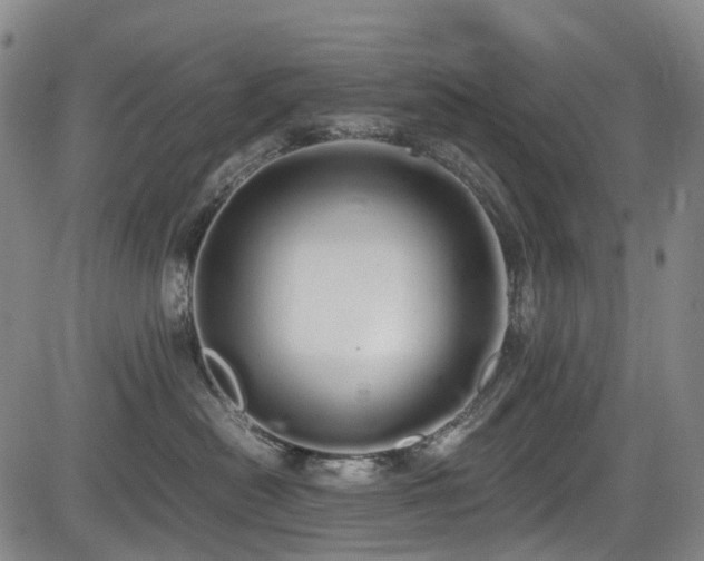 X0000084000478200702161137