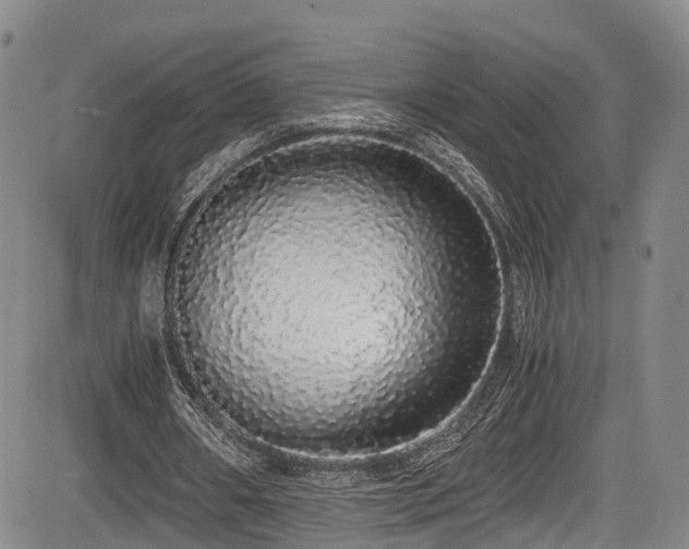 X0000084000482200702161136