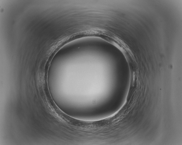 X0000084000485200702161136