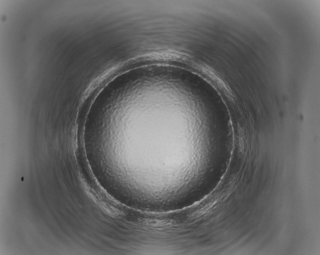 X0000084000486200702161136