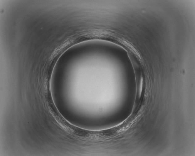 X0000084000489200702161136