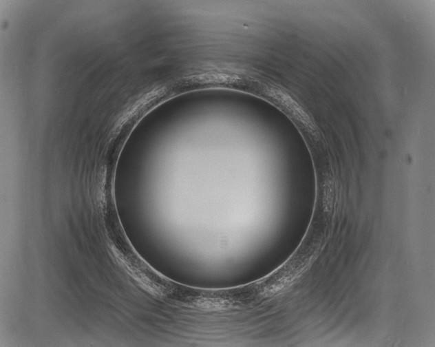 X0000084000490200702161136