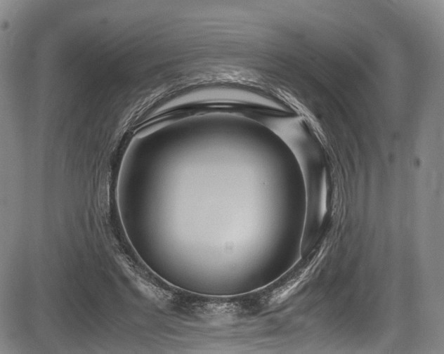 X0000084000493200702161136