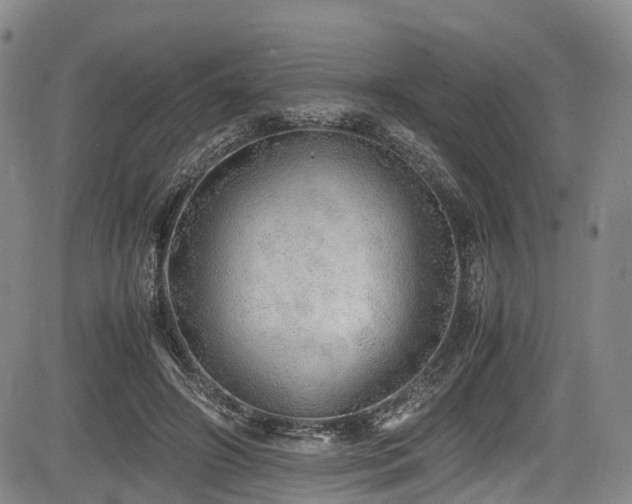 X0000084000498200702161136