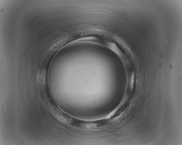 X0000084000501200702161136