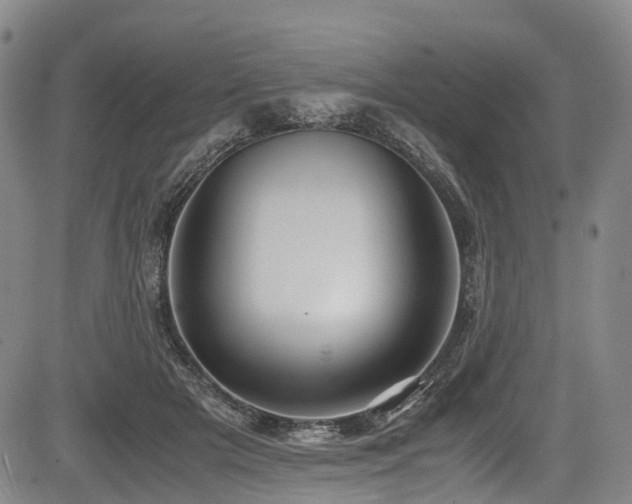 X0000084000505200702161136