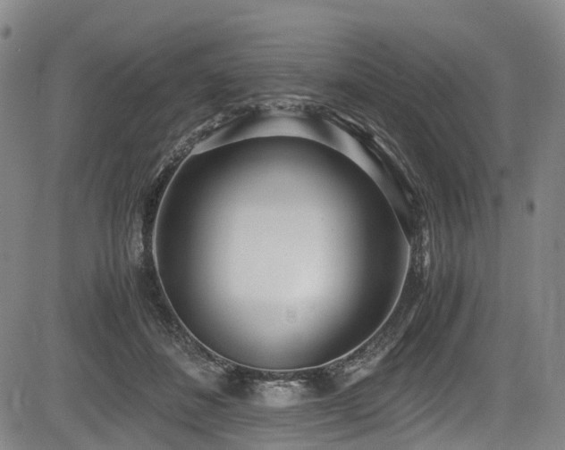 X0000084000508200702161136