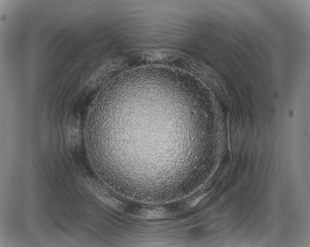 X0000084000510200702161136