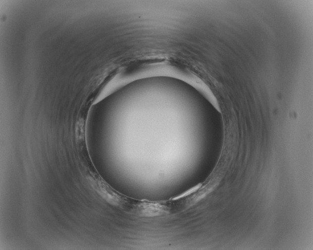 X0000084000528200702161136
