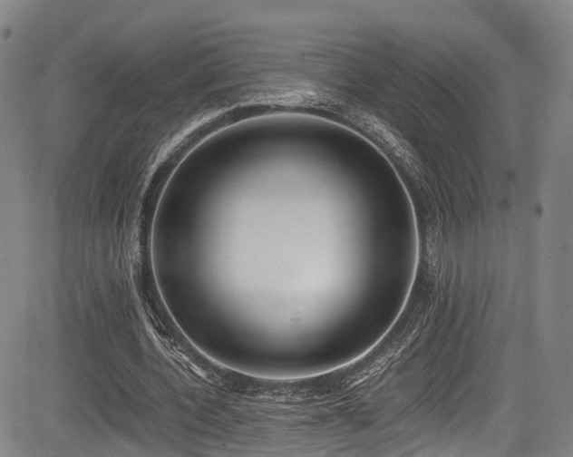 X0000084000532200702161135