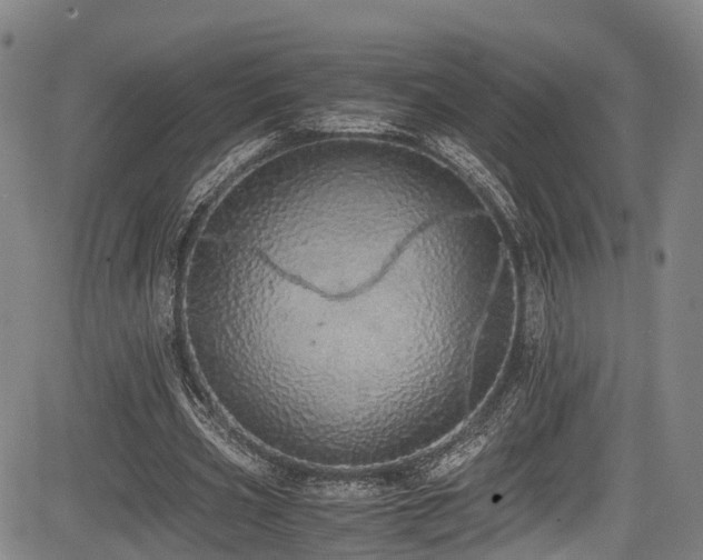 X0000084000533200702161135