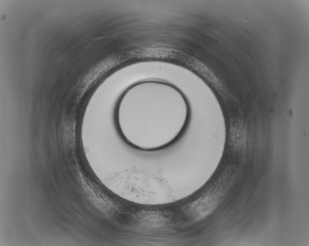 X0000084000534200702161135