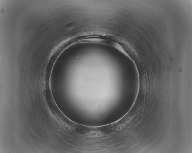 X0000084000536200702161135