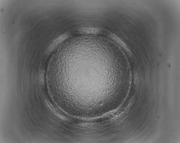X0000084000537200702161135