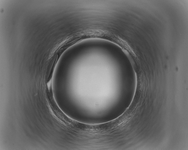 X0000084000538200702161135