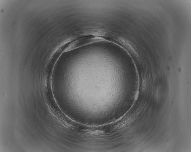 X0000084000539200702161135